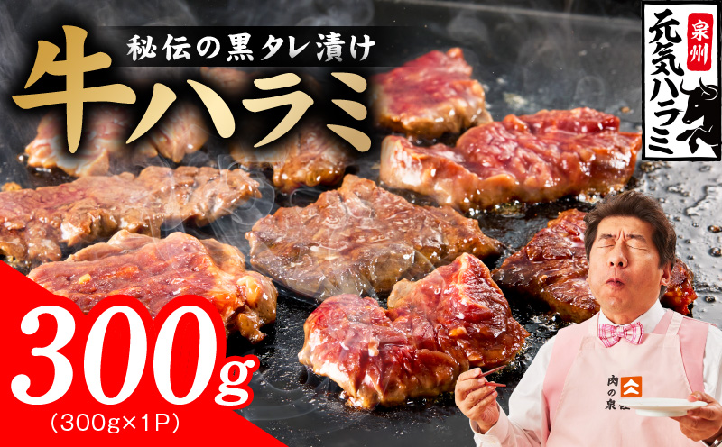 [新登場]極旨黒ダレ 牛ハラミ 300g[お試し 牛肉 はらみ 小分け 焼肉 お弁当 BBQ 訳あり ワケアリ わけあり サイズ不揃い 規格外 TVで話題 大阪 泉佐野 大阪府 泉佐野市]