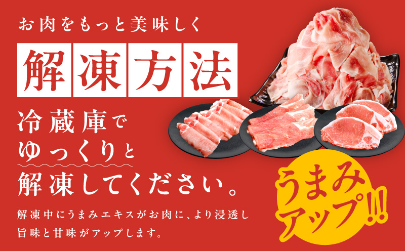 国産豚肉 4種 定期便 2.4kg×6回【氷温熟成×極味付け 小分け 300gパック ぶたにく 普段使い 野菜炒め 切り落とし 毎月配送コース 大阪 泉佐野 大阪府 泉佐野市】
