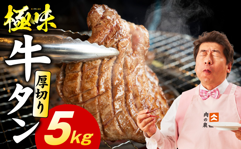 厚切り牛たん 5kg【氷温熟成×旨塩ダレ 味付き 訳あり サイズ不揃い 500g 小分け 焼くだけ 焼肉】