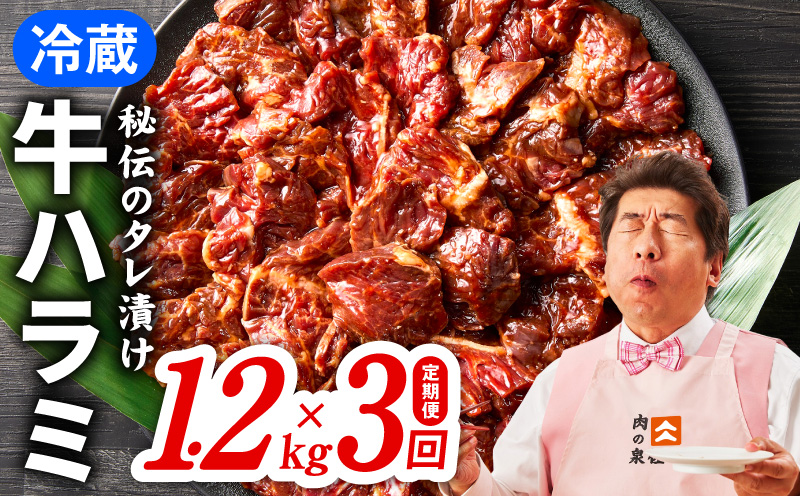 【冷蔵配送】牛ハラミ肉 1.2kg×全3回【毎月配送コース お楽しみ 焼肉 ていきびん 小分け 味付け 焼くだけ 小分け BBQ やきにく 数量限定】