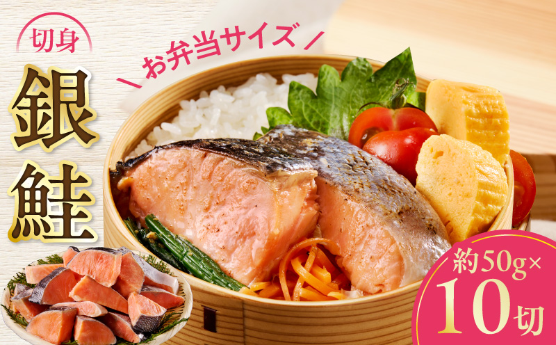 【お弁当サイズ】銀鮭 切身 約50g×10切れ【小分け 漁師 手切り 500g さけ サケ 切り身 弁当 朝食 時短 訳あり サイズ不揃い 規格外 冷凍食品 スピード発送 大阪 泉佐野 大阪府 泉佐野市】