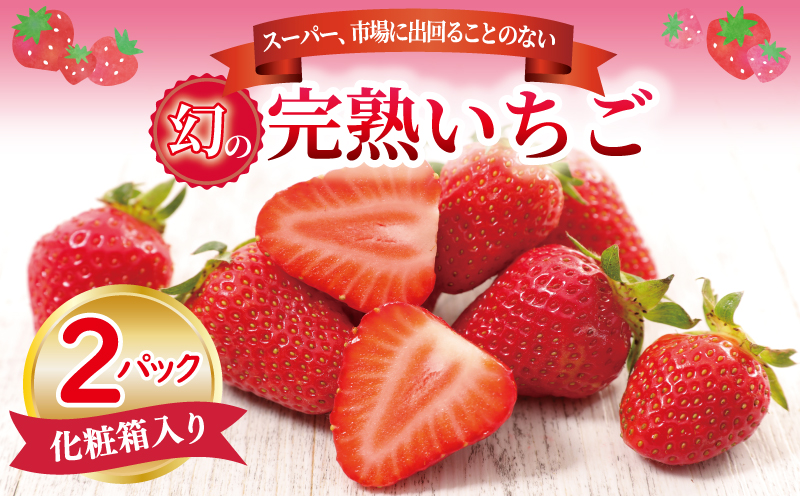 【先行予約】朝摘み 完熟いちご 2パック【化粧箱入り 苺 無添加 自然素材 フルーツ イチゴ 高評価 数量限定】