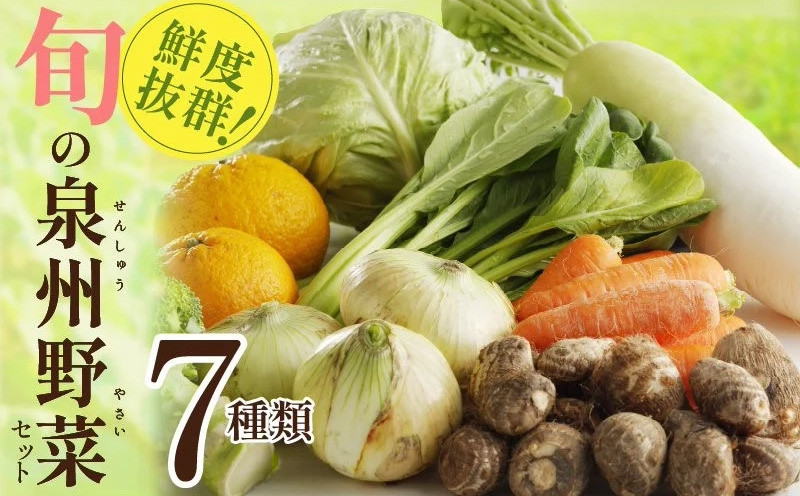 【家計応援】野菜セット 7種類【詰め合わせ 国産 旬 お試し おまかせ お楽しみ 期間限定】
