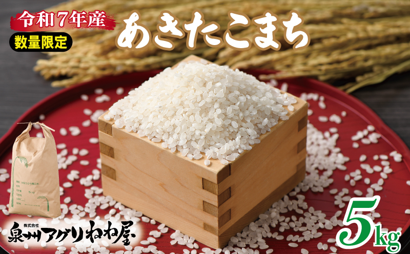 【数量限定】令和7年産 ねね屋のこだわり米『あきたこまち』 5kg 白米 お米
