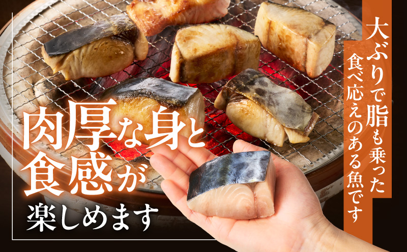 【お弁当サイズ】さわら 切身 約50g×20切れ【小分け 漁師 手切り 1kg 泉州 鰆 切り身 弁当 朝食 時短 訳あり サイズ不揃い 規格外 冷凍食品 スピード発送】