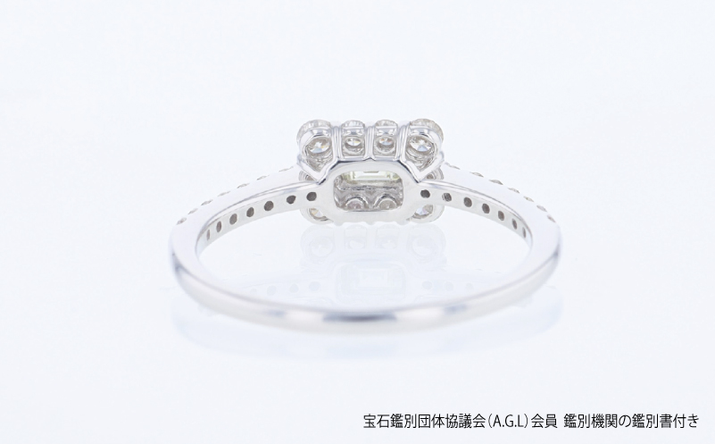 ARC-EN-CIEL PTダイヤリング（計 0.50ct）【鑑別書付き ジュエリー プレゼント ギフト ファッション アクセサリー 贈り物 贈答 お祝い 記念日】