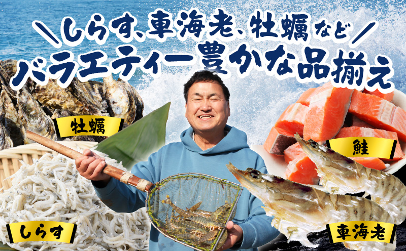 釜揚げしらす＆ちりめん山椒セット 計1.2kg【小分け ちりめん シラス しらす sirasu 海鮮 セット 人気 おすすめ 産地直送 大阪 泉佐野 大阪府 泉佐野市】