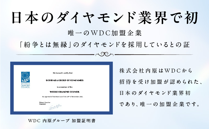 アルカンシェル プラチナ ダイヤ プチペンダント（計0.2ct）【鑑別書付き ジュエリー プレゼント ギフト ファッション アクセサリー 贈り物 贈答 お祝い 記念日】
