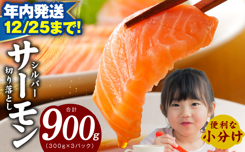 【年内発送 12/25まで】シルバーサーモン 切り落とし 900g【小分け 3パック 訳あり サイズ不揃い 刺身 海鮮丼 さーもん サラダ カルパッチョ 鮭 さけ シャケ しゃけ 人気 小分け 冷凍 家計応援】