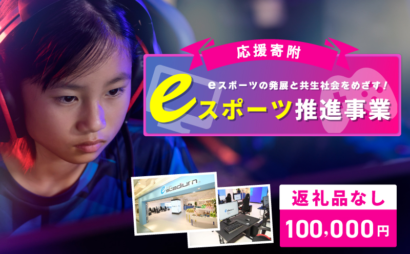 【返礼品なし】eスポーツの発展と共生社会の実現をめざす！eスポーツ推進応援寄附（大阪府泉佐野市）　