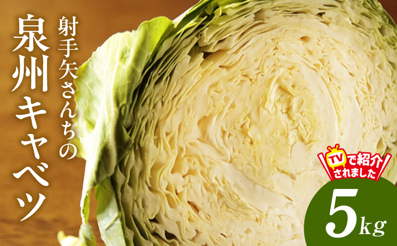 [スピード発送]泉州キャベツ 5kg 2〜5玉 射手矢農園 訳あり サイズ不揃い[TVで紹介!]