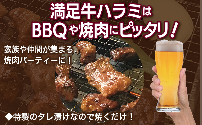 【タレ漬け牛肉2種セット】 満足牛ハラミ・牛肉切り落とし 合計4.5kg 【味付け ハラミ 小分け 焼くだけ 簡単調理 BBQ 牛肉 250g×各9P 普段使い】