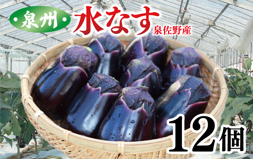 泉州 水なす 12個【ハウス栽培 新鮮 野菜 泉佐野産 茄子 数量限定】