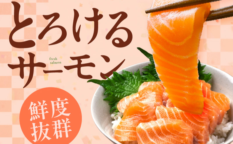 アトランティックサーモン 総量 500g以上＋はしっこ100g【フィレ エコパック 訳あり サイズ不揃い 刺身 さーもん 冷凍 北国からの贈り物】