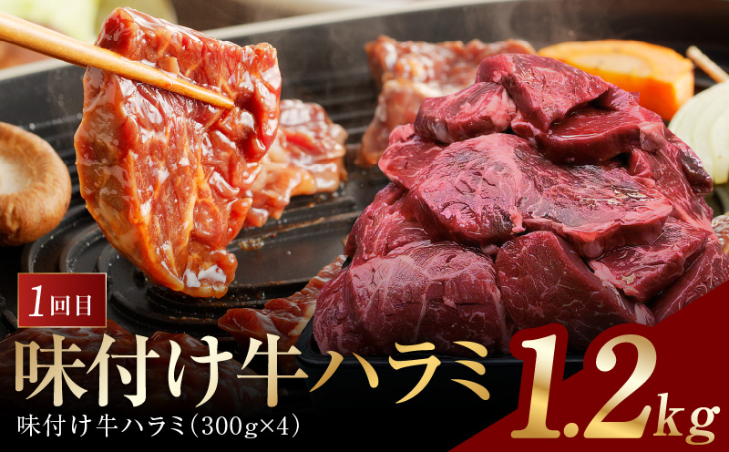 アキラ商店 肉三昧 わくわく 定期便 全5回【毎月配送コース お楽しみ 焼肉 ていきびん 焼くだけ 小分け BBQ やきにく 数量限定 大阪 泉佐野 大阪府 泉佐野市】