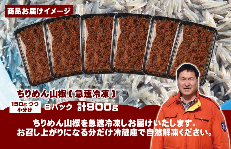 ちりめん山椒しらす 900g【小分け 150g×6P シラス しらす sirasu 海鮮 人気 おすすめ 産地直送】