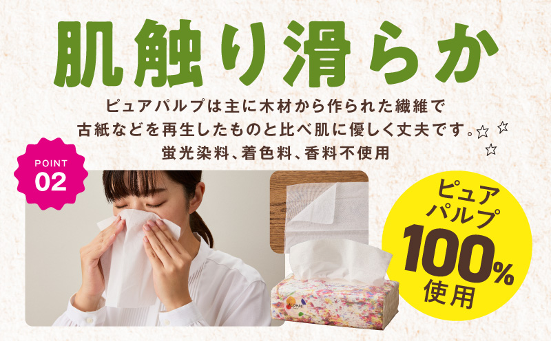 【定期便】 ソフトパックティッシュ400枚×60パック & トイレットペーパー シングル 85M巻×64ロールセット【生活用品 雑貨 日用品 必需品 常備品 まとめ買い 備蓄 防災】