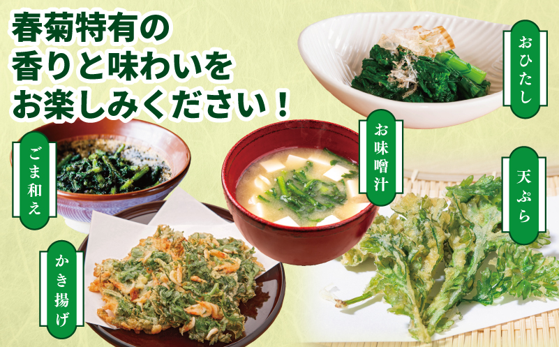 【先行予約】TONOファーム 春菊 6袋（合計900g以上）【大阪 泉佐野 大阪府 泉佐野市】