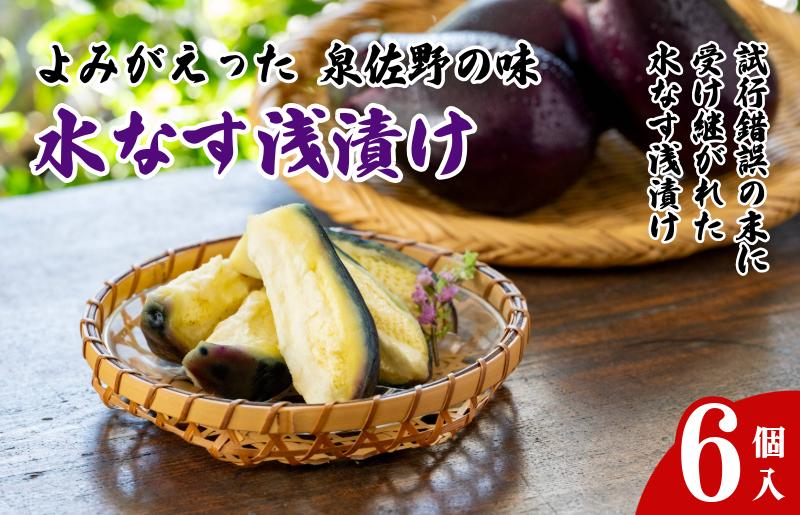 よみがえった泉佐野の味 水なす浅漬け6個【泉州 泉佐野産 水ナス 水茄子 ぬか漬け 漬物 大阪 泉佐野 大阪府 泉佐野市】