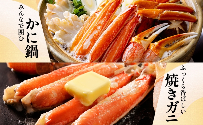 ズワイガニ足 1kg前後  約2-3人前 蟹酢付き【北国からの贈り物 昆布塩加工 ボイル かに カニ ズワイガニ 脚】