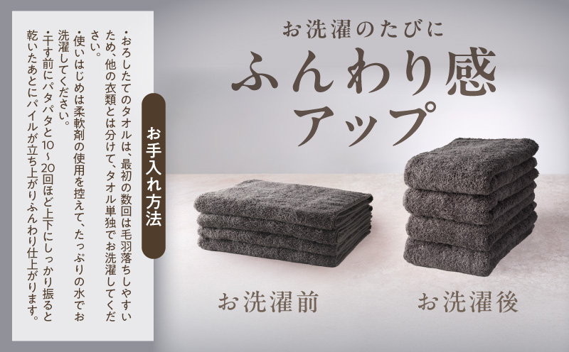 極åã¹ãªã ãã¹ã¿ãªã« ããŒã¯ã°ã¬ãŒ 4æãæ³å·ã¿ãªã« ããã åœç£ åžæ°Ž æ®æ®µäœ¿ã ã·ã³ãã« æ¥çšå å®¶æ ãã¡ããªãŒ å€§éª æ³äœé 倧éªåº æ³äœéåžã