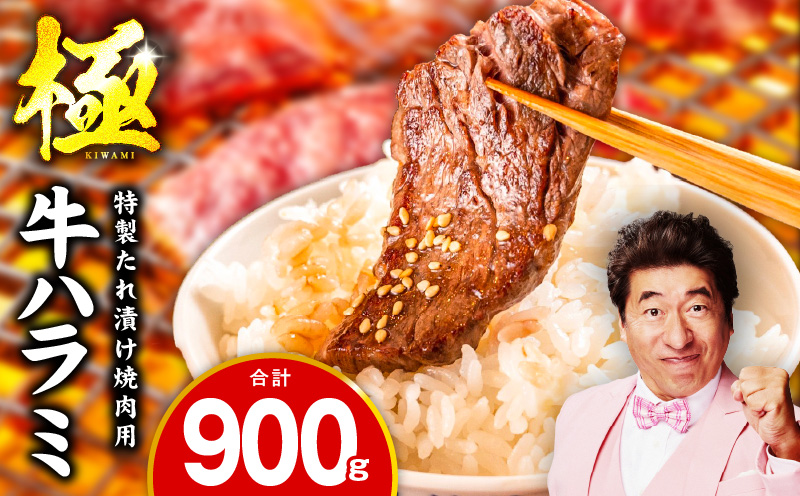 牛肉 ハラミ 900g 小分け 300g×3P【氷温熟成×特製ダレ 味付き 牛肉 訳あり 不揃い 焼肉 BBQ 野菜炒め 圧倒的企業努力】