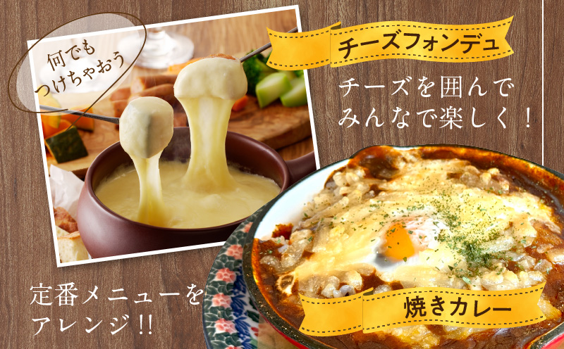 JUCOVIA ミックスチーズ 1kg【普段使い 高評価 ちーず 乳製品 ムラカワチーズ 一人暮らし ファミリー ピザ トースト】