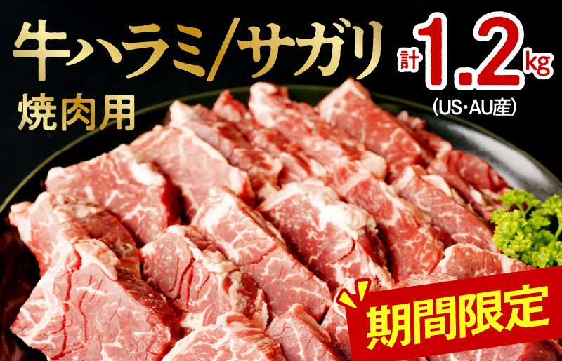 焼肉用 ハラミ サガリ 1.2kg（400g×3）小分け 氷温(R)熟成肉