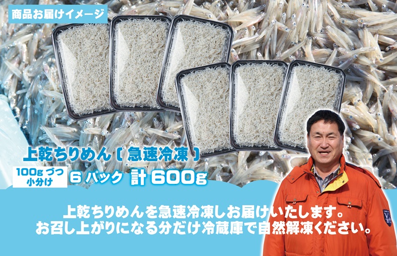【お中元対応】上乾ちりめんしらす 600g【小分け 100g×6P シラス しらす sirasu 海鮮 人気 おすすめ 産地直送】