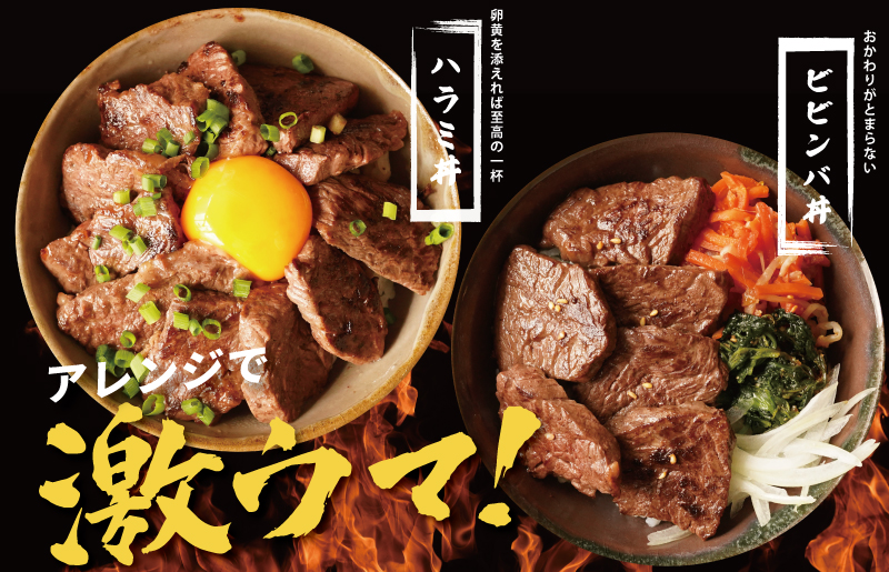 【氷温熟成×特製ダレ】牛肉 ハラミ 2.4kg（300g×8P）
