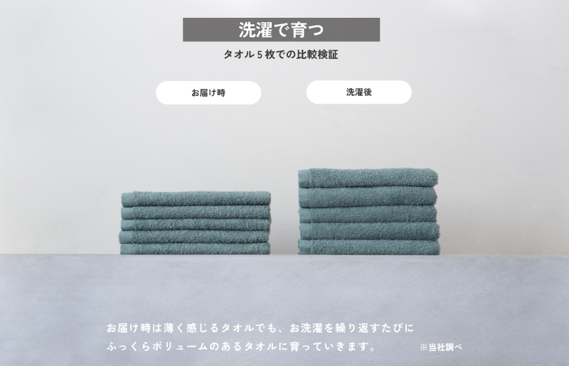 サンマルフェイスタオル ダークブルー 8枚