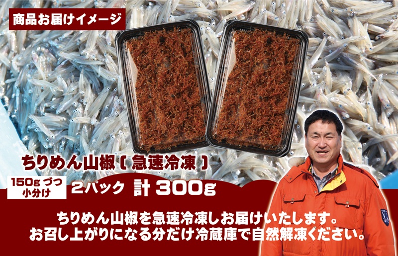 【お試し】ちりめん山椒しらす 300g【小分け 150g×2P シラス しらす sirasu 海鮮 人気 おすすめ 産地直送 スピード発送】