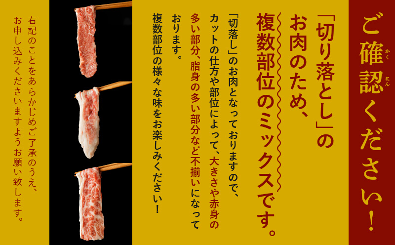 【A4ランク以上】黒毛和牛 サーロイン 切り落とし 1kg【250g×4P 小分け 国産 味付き 牛肉 訳あり サイズ不揃い】