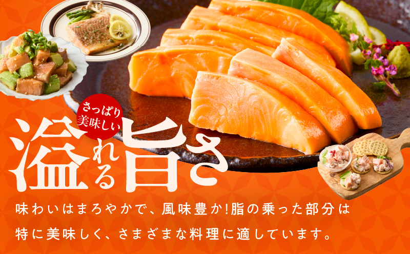 お刺身用 サーモン トラウト 1kg【小分け 約250g×4P ポーション ブロック 柵 訳あり サイズ不揃い さーもん 数量限定 大阪 泉佐野 大阪府 泉佐野市】