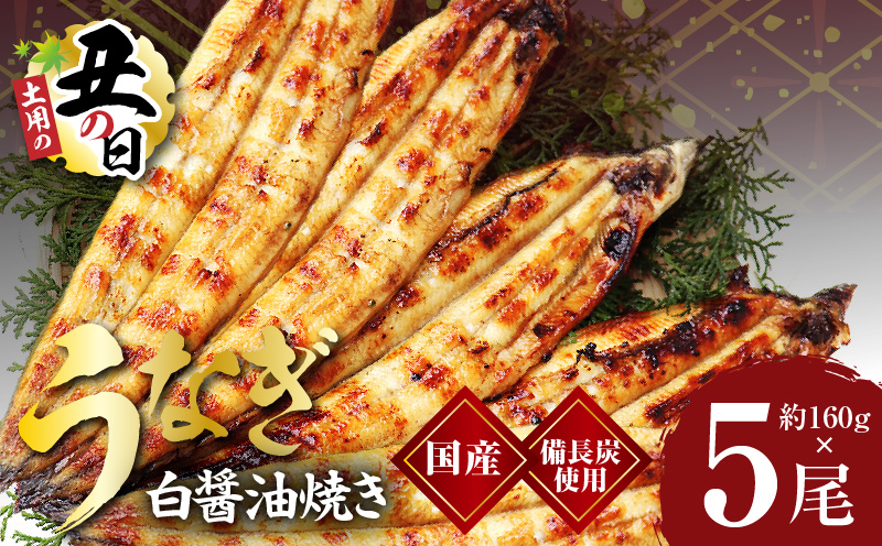 【土用の丑の日までにお届け】国産うなぎ 白醤油焼き 合計800g【160g×5尾 せいろ蒸し 備長炭 鰻 ウナギ 手焼き レンジ 温めるだけ 簡単調理】