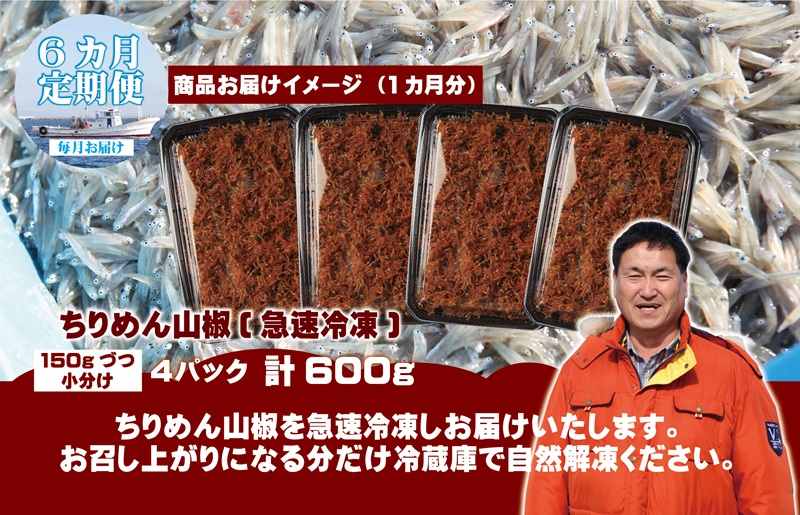 ちりめん山椒しらす 600g×全6回【定期便 小分け シラス しらす sirasu 海鮮 人気 おすすめ 産地直送】