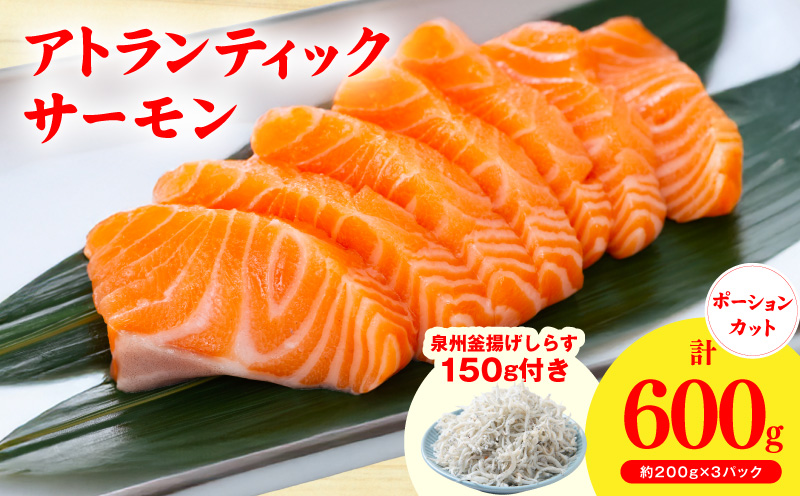 アトランティックサーモン 600g+おまけしらす150g【小分け 200g×3P 柵切 しらす シラス sirasu 刺身 魚介 海鮮 さーもん 生食 お試し】
