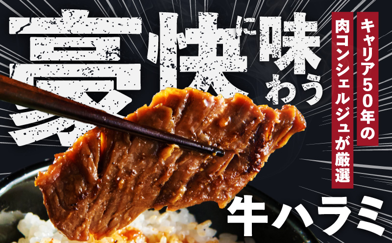 ガツめし牛ハラミ 600g　追いダレ漬け【300g×2 ハラミはらみ 牛はらみ 牛肉 訳アリ 不揃い 小分け 大阪 泉佐野 大阪府 泉佐野市】