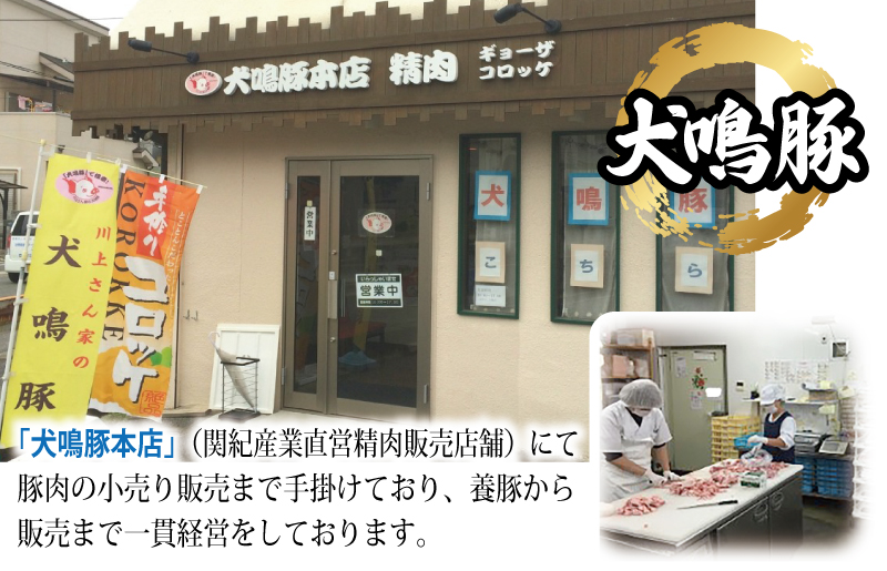 【泉佐野ブランド豚】犬鳴豚餃子 75個×6回【国産 豚肉 ぶたにく 定期便 犬鳴ポーク 焼くだけ 人気 総菜 冷凍】