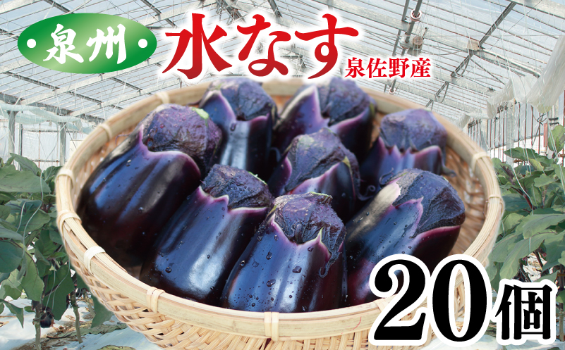 泉州 泉佐野市産 ハウス水なす 20個 夏旬の水なすを冬にどうぞ｜