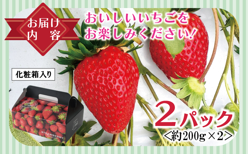 【特別規格】朝摘み完熟いちご 2パック【化粧箱入り 200g×2P 苺 イチゴ フルーツ 果物】