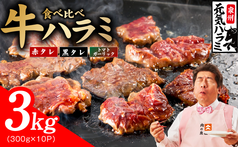 【3種食べ比べ】牛ハラミ肉 3kg（300g×10P）【牛肉 はらみ 小分け 焼肉 お弁当 BBQ 訳あり ワケアリ わけあり サイズ不揃い 規格外 TVで話題 大阪 泉佐野 大阪府 泉佐野市】
