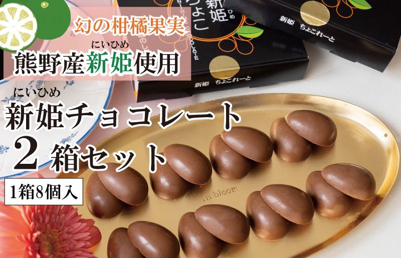 【スピード発送】新姫(にいひめ)チョコレート 2箱セット  瀧のしずく