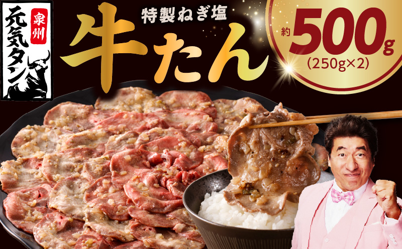 【定期便】ねぎ塩 牛たん 500g 全6回【毎月配送コース 牛タン 牛肉 焼肉用 薄切り 訳あり サイズ不揃い】