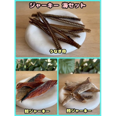 【ふるさと納税限定セット】【わんちゃん用ペットフード】ジャーキー海セット【1754027】
