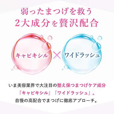 2023年12月発送開始『定期便』【まつげ美容液】健やかなまつげに保つ成分を贅沢配合 日本製 全3回【5162317】