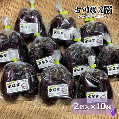 【20本】古川農園　「生水なす」2個入×10袋　そのまま食べられる青果で水なすを産地直送でお届け!【1484515】