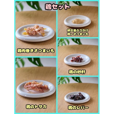 【ふるさと納税限定セット】【わんちゃん用ペットフード】　鶏セット5種【1754031】
