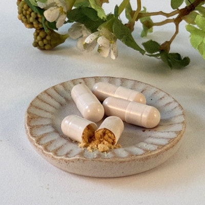 日本産100%ローヤルゼリーカプセル　ローヤルゼリー専門養蜂場アズマ養蜂場からお届けします。【1704321】