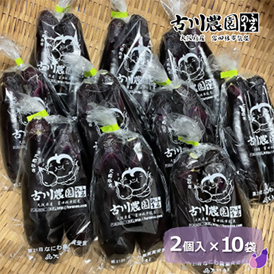 【産地直送】古川農園　「大阪なす」どんな料理にもよく合う万能ナス!2本入×10袋【1484531】
